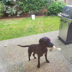 Meet your Posher, Carolyn